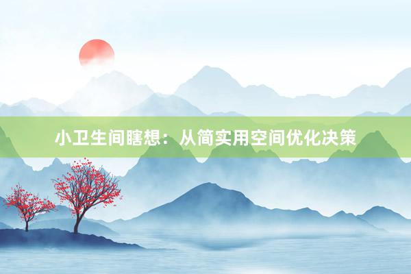 小卫生间瞎想：从简实用空间优化决策