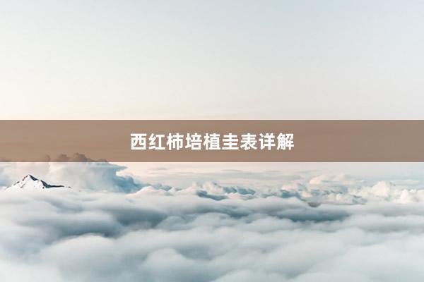 西红柿培植圭表详解