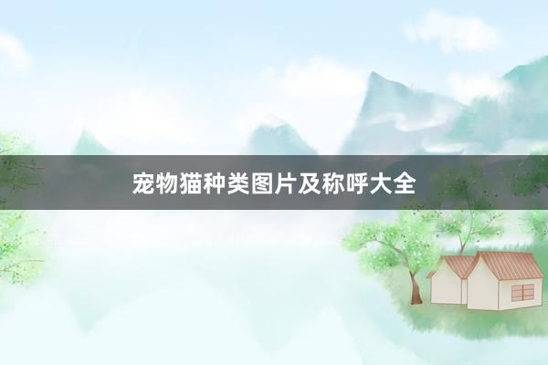 宠物猫种类图片及称呼大全